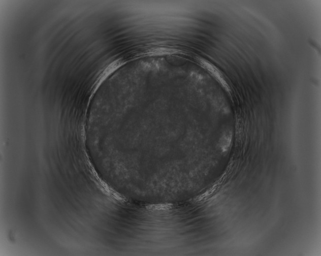 X0000097490810200803201529