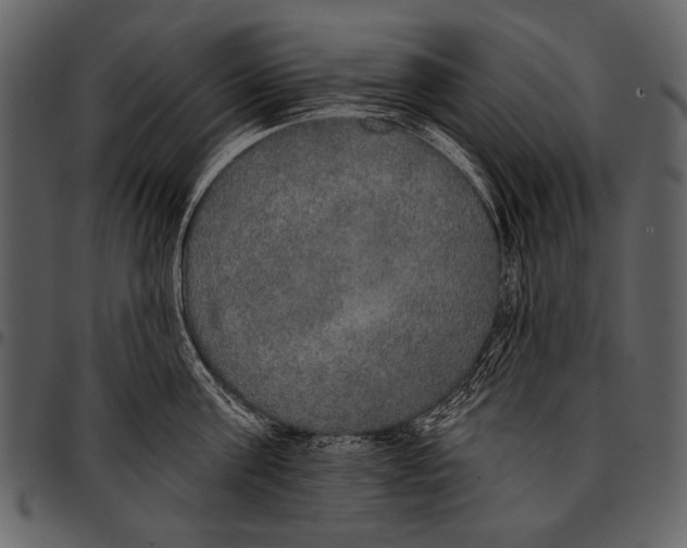 X0000097490811200803201529