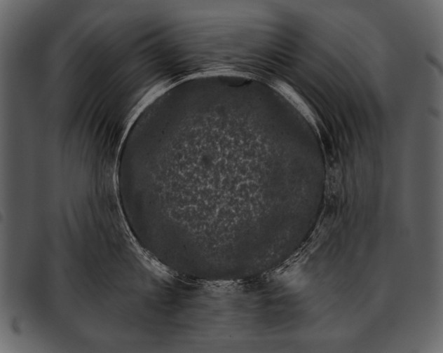 X0000097490813200803201529