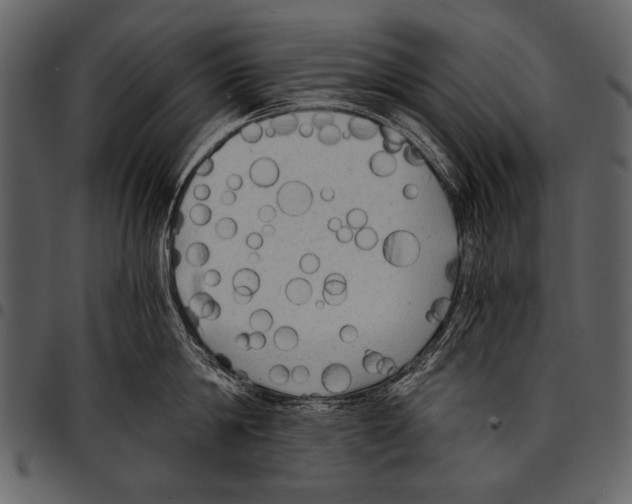 X0000097490814200803201529