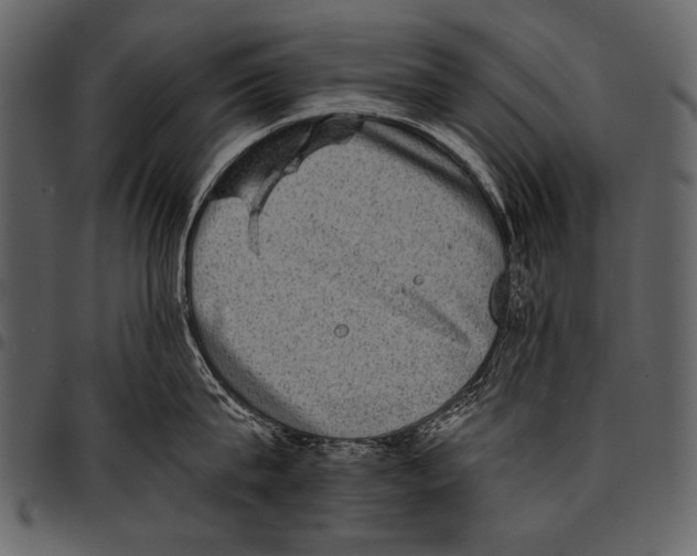 X0000097490815200803201529