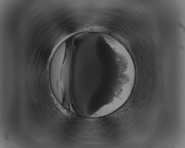 X0000097490816200803201529