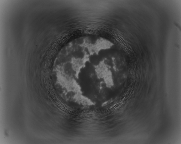 X0000097490817200803201529