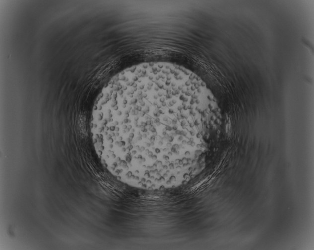 X0000097490819200803201529