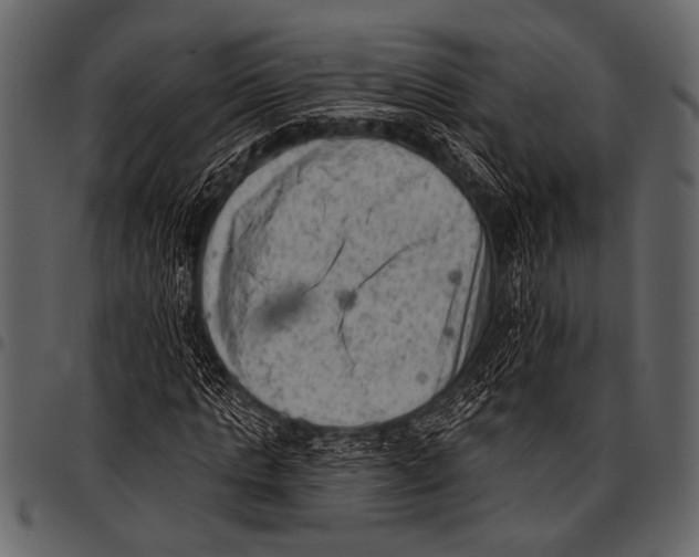 X0000097490821200803201529