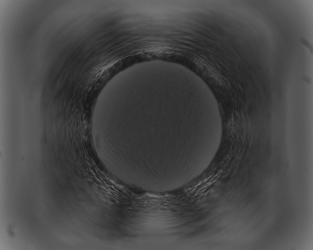 X0000097490822200803201529