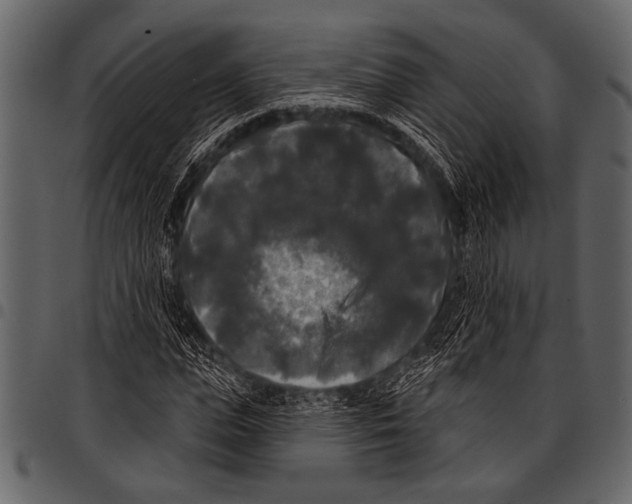 X0000097490823200803201529