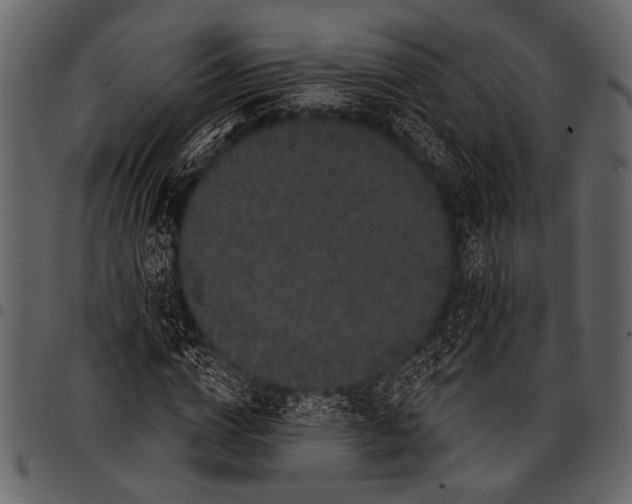 X0000097490824200803201529