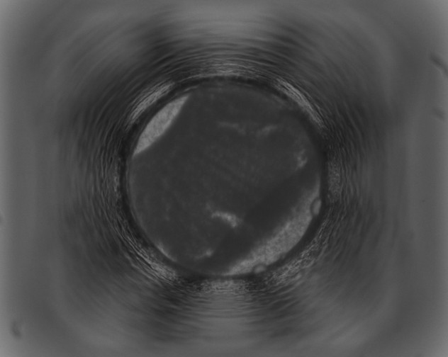 X0000097490826200803201529