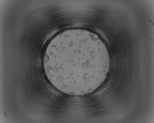 X0000097490827200803201529