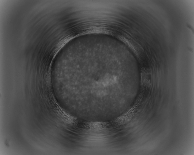 X0000097490828200803201529