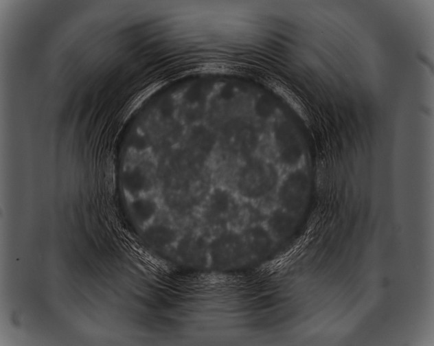 X0000097490829200803201529