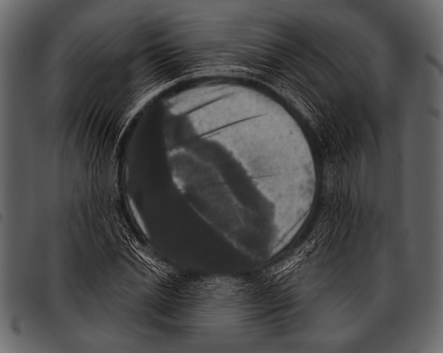 X0000097490830200803201529