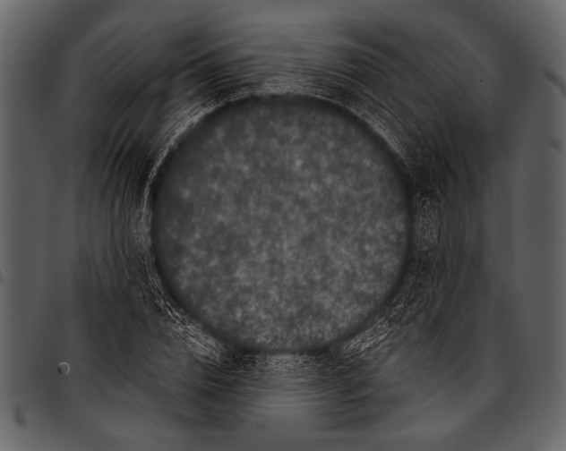 X0000097490832200803201529