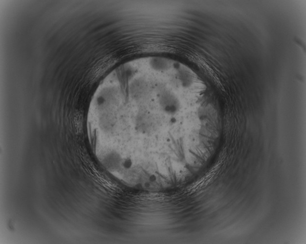 X0000097490833200803201529