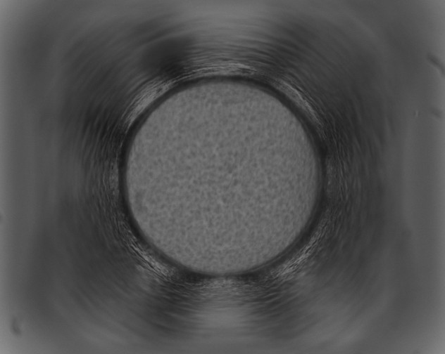 X0000097490834200803201529