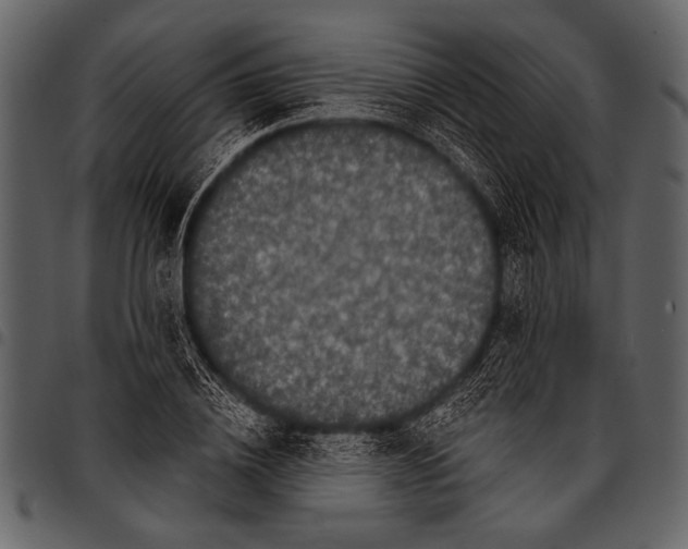 X0000097490836200803201529