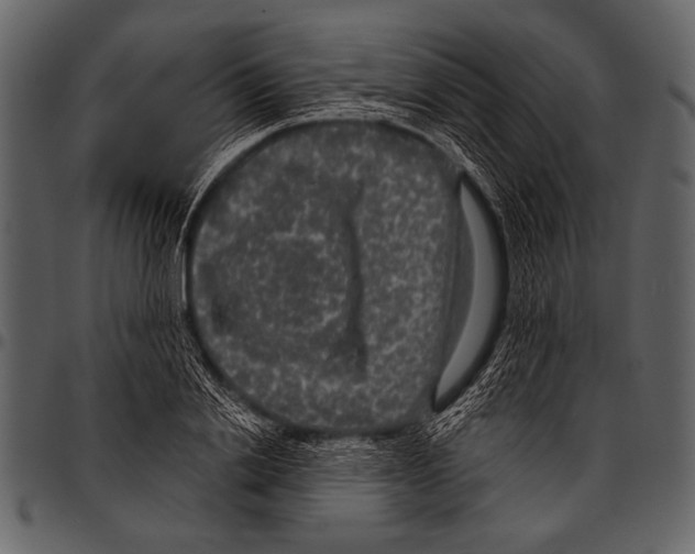 X0000097490838200803201529