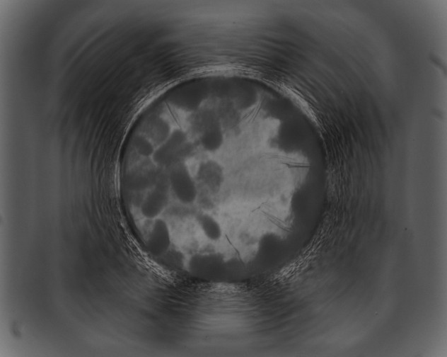 X0000097490839200803201529