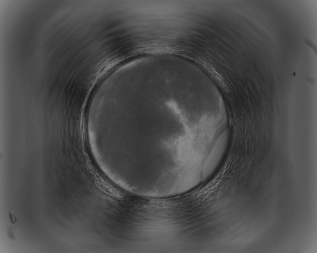 X0000097490840200803201529