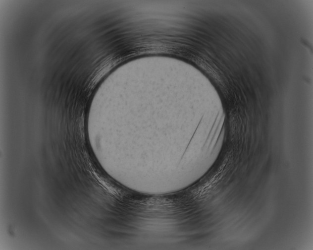 X0000097490842200803201529