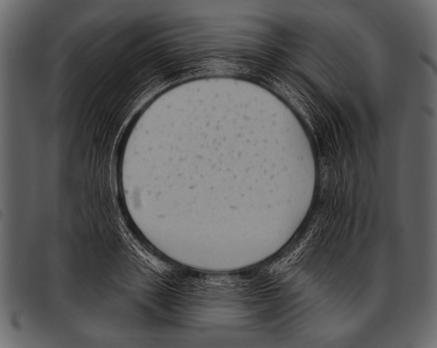 X0000097490843200803201529