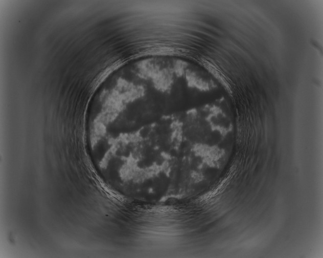 X0000097490845200803201529