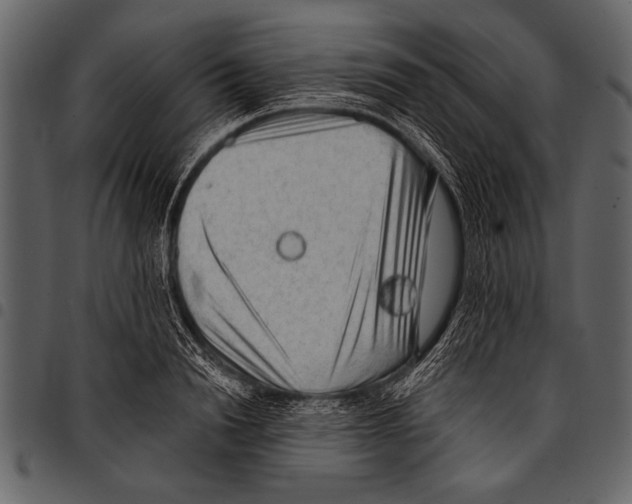 X0000097490846200803201529