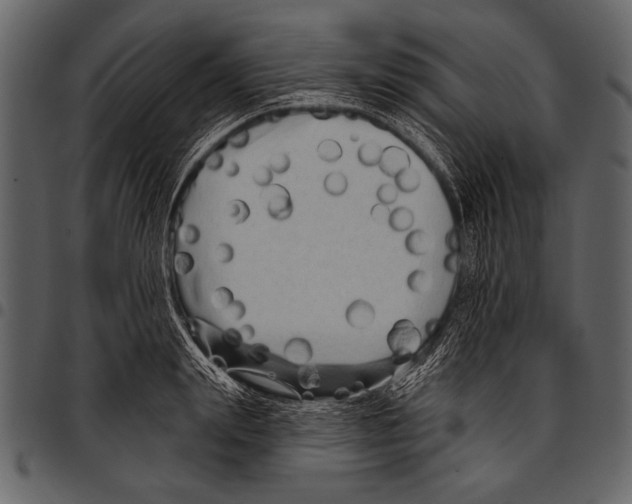 X0000097490847200803201529