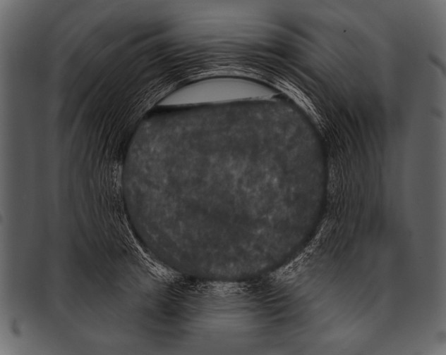 X0000097490849200803201529