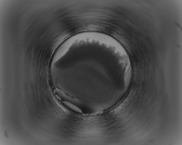 X0000097490850200803201529