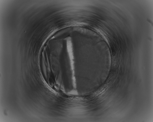 X0000097490851200803201529