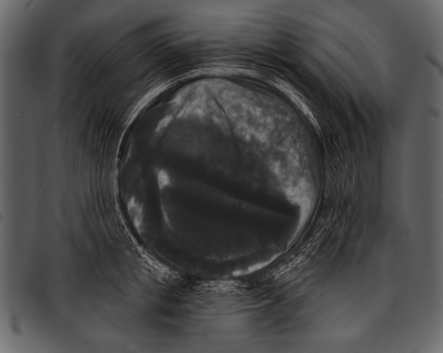 X0000097490853200803201529