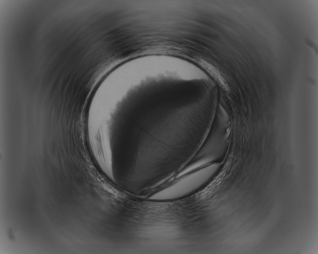 X0000097490854200803201529