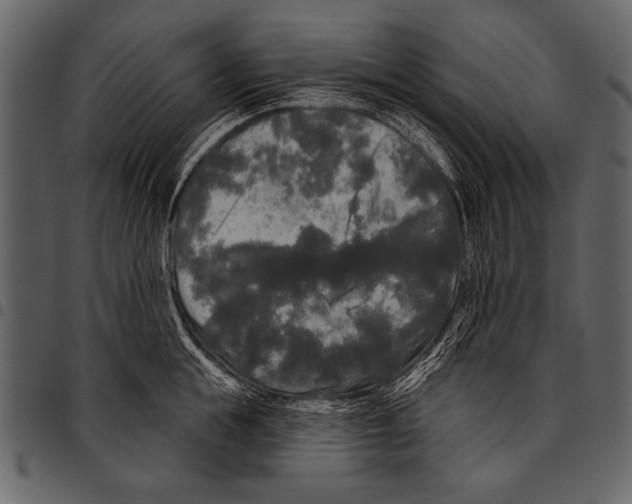 X0000097490855200803201529