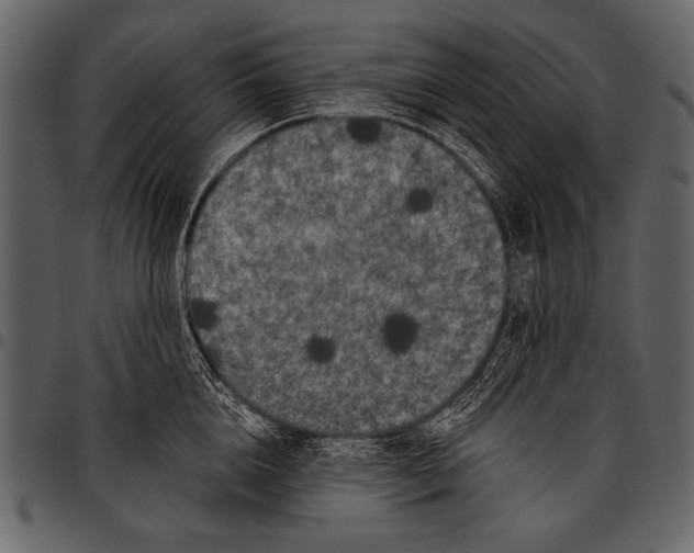 X0000097490856200803201529