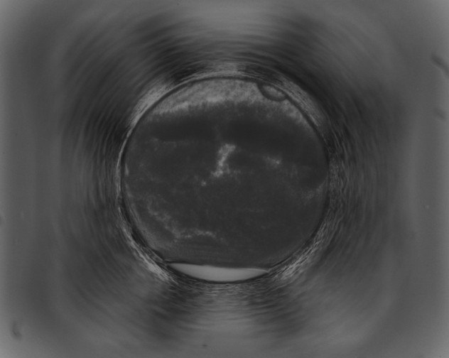 X0000097490858200803201529