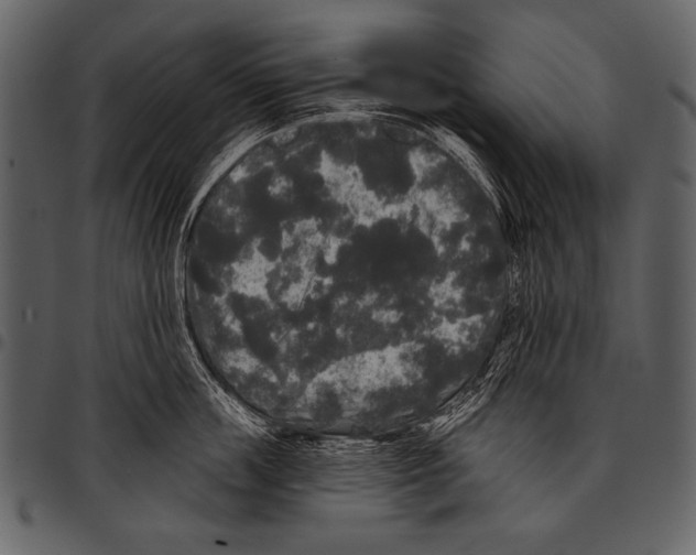 X0000097490859200803201529