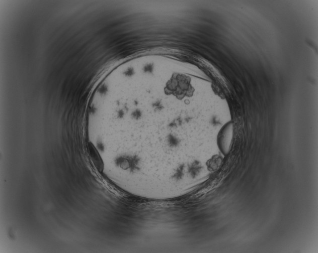 X0000097490860200803201529