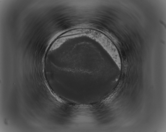 X0000097490862200803201529