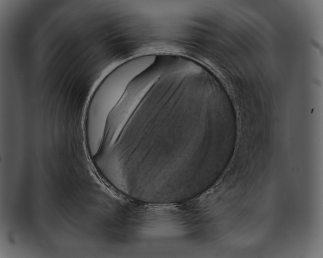 X0000097490864200803201529