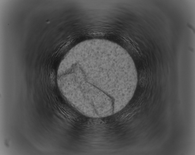 X0000097490866200803201529