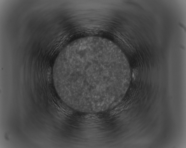 X0000097490867200803201529