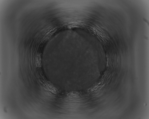 X0000097490868200803201529