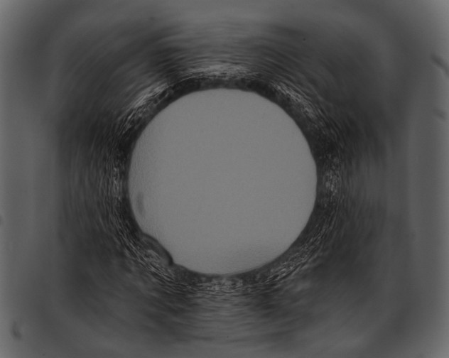 X0000097490869200803201529