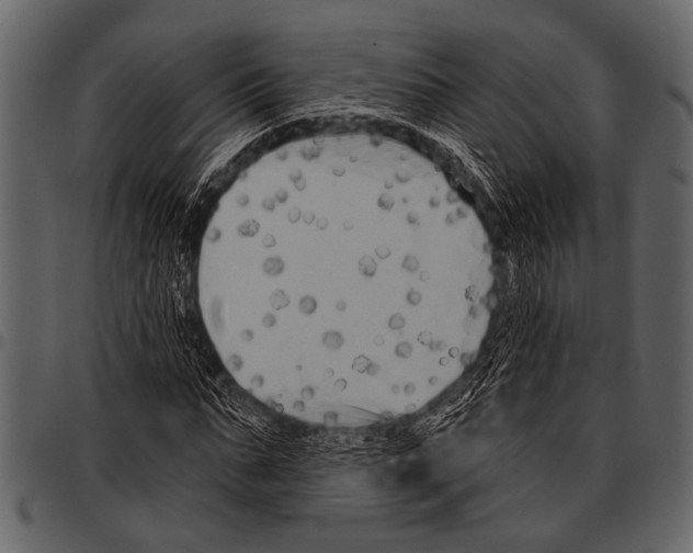 X0000097490871200803201528