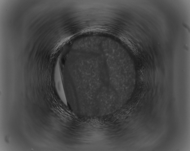 X0000097490872200803201528