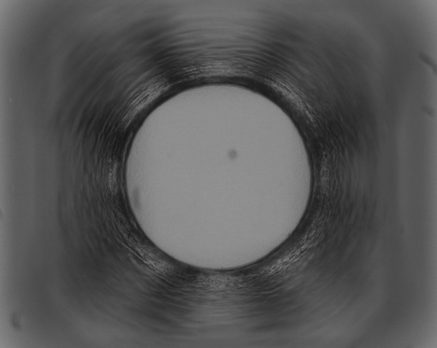 X0000097490873200803201528