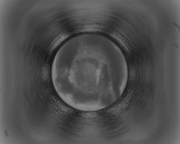 X0000097490874200803201528