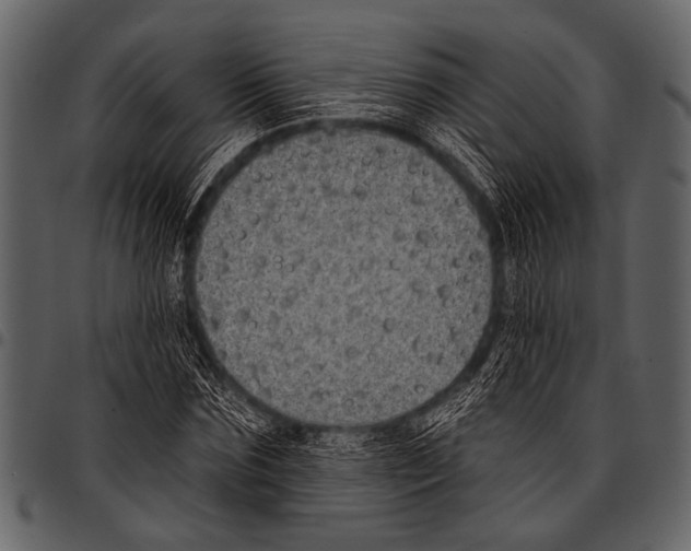 X0000097490875200803201528